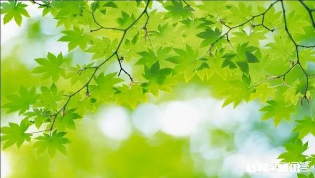 天蝎座都是敏感记仇爱翻旧账的吗