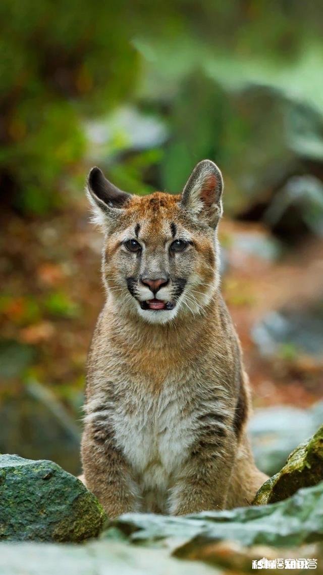 天蝎座都是敏感记仇爱翻旧账的吗