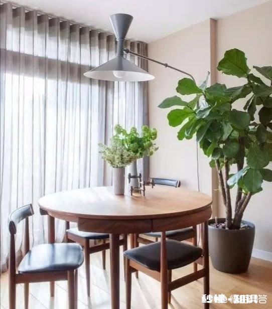 灰色窗帘配什么颜色墙好看