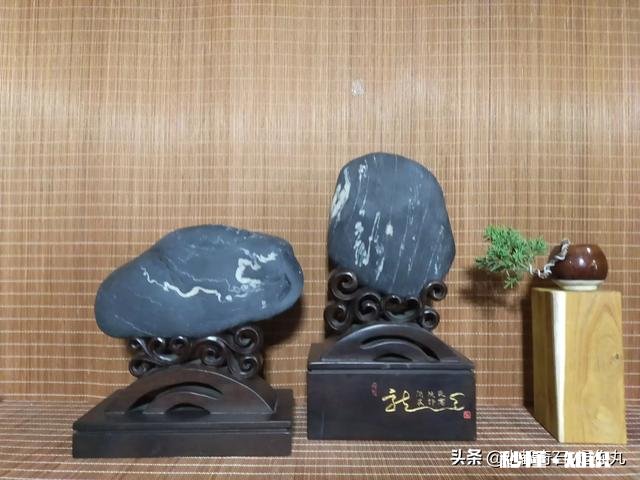 很好奇为什么大部分动物的脑子都在头部有没有脑子不在头部的