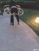 很好奇为什么大部分动物的脑子都在头部有没有脑子不在头部的