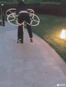 很好奇为什么大部分动物的脑子都在头部有没有脑子不在头部的