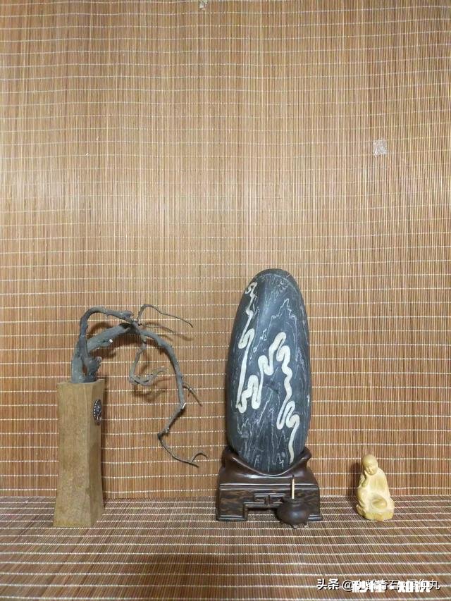 很好奇为什么大部分动物的脑子都在头部有没有脑子不在头部的