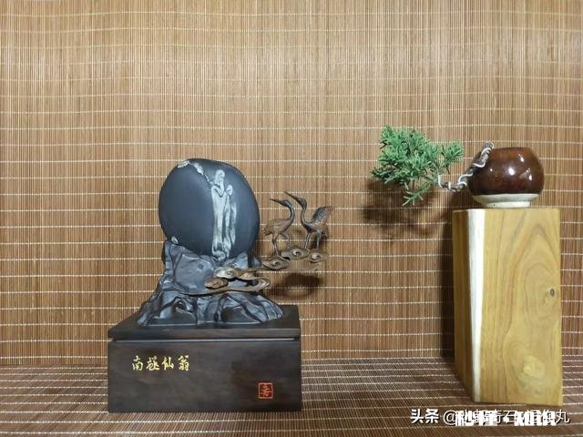 很好奇为什么大部分动物的脑子都在头部有没有脑子不在头部的