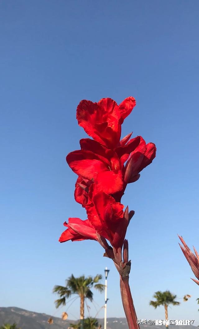 我给娘家多少钱，老公就要给婆婆多少钱，公平吗