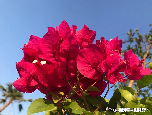 我给娘家多少钱，老公就要给婆婆多少钱，公平吗