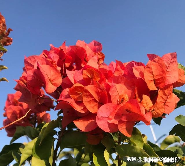 我给娘家多少钱，老公就要给婆婆多少钱，公平吗