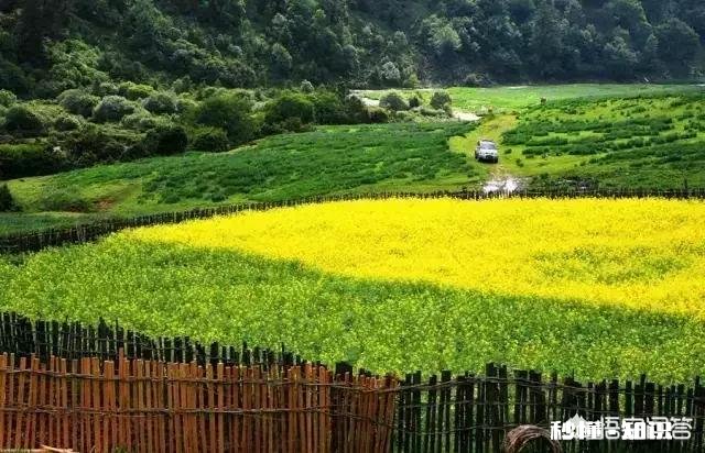 提倡绿色旅游，具体体现在哪些方面是人文景观还是餐饮文化方面
