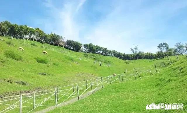 提倡绿色旅游，具体体现在哪些方面是人文景观还是餐饮文化方面
