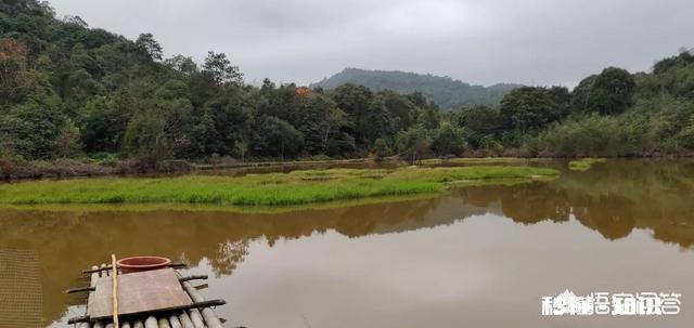 提倡绿色旅游，具体体现在哪些方面是人文景观还是餐饮文化方面