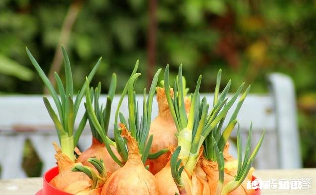 提倡绿色旅游，具体体现在哪些方面是人文景观还是餐饮文化方面