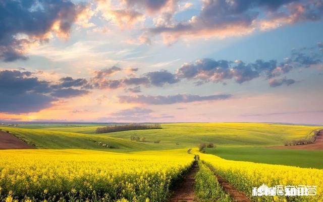 心情极差时，选择睡觉，喝酒这是什么性格