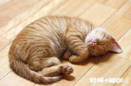 心情极差时，选择睡觉，喝酒这是什么性格