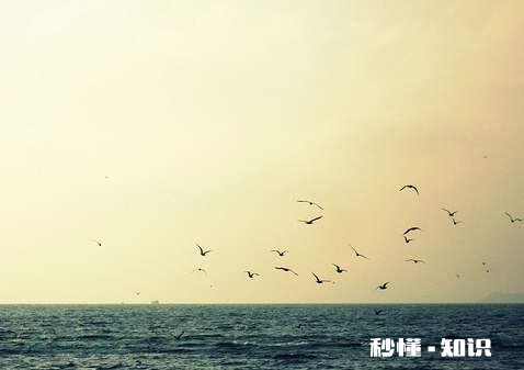 总是因为身边的人一句话难过很久,该咋办