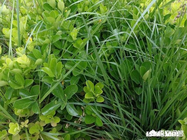 学校禁止学生带手机进校园，一旦发现予以没收，这种现象，你怎么看