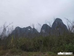 男人适合用什么牌子的沐浴露和洗发水