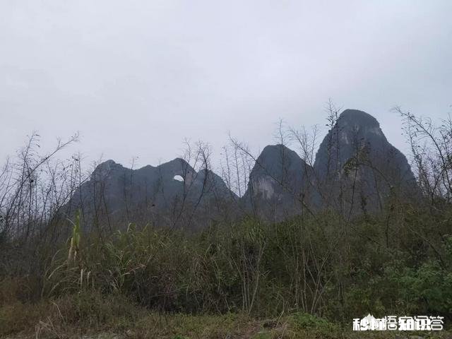 男人适合用什么牌子的沐浴露和洗发水