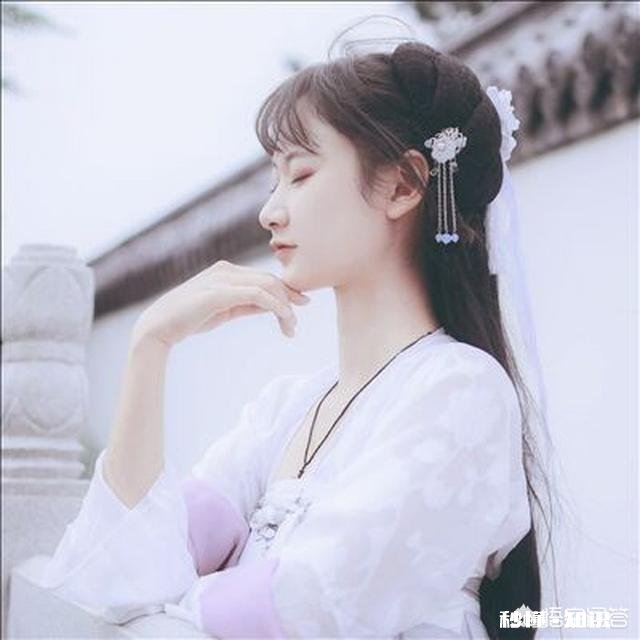 学习书法，你认为是应该先“专”还是先“博”