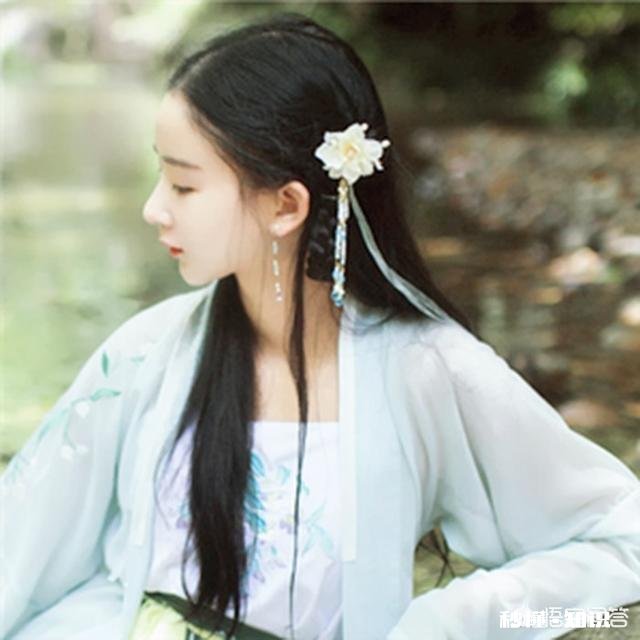 学习书法，你认为是应该先“专”还是先“博”