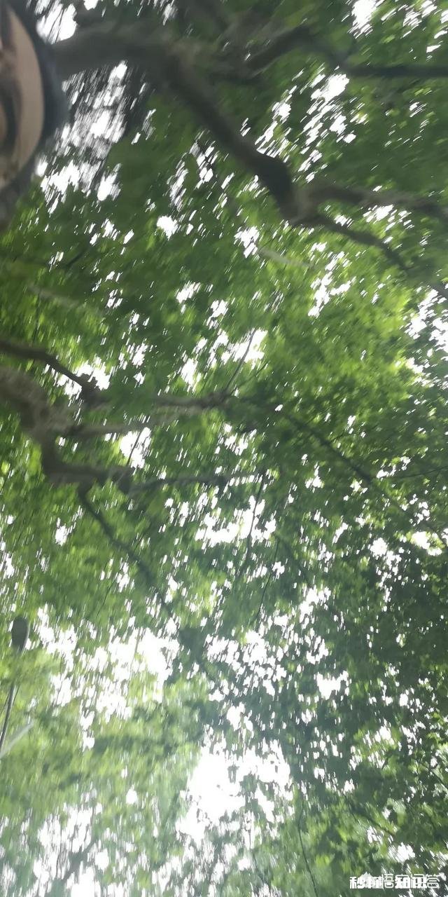 有多少人喜欢吃辣你认为麻辣，香辣还是酸辣好吃