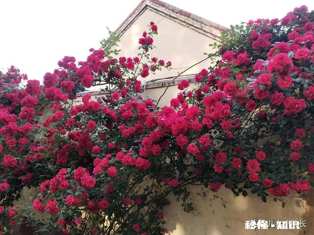 从姑娘小伙儿变成老太老头，你亲身感受到岁月催人老的滋味了吗