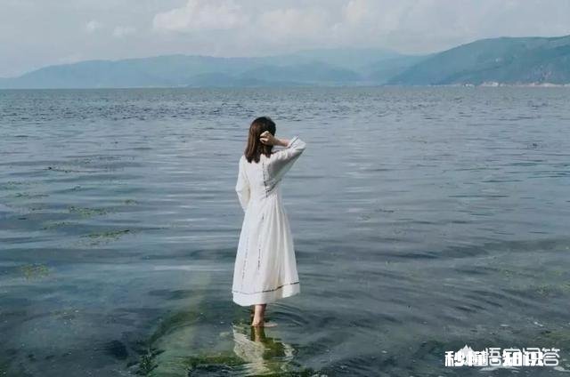 你最想删除但又不得不使用的手机软件是哪一个