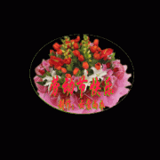 老公对我不好该不该离婚