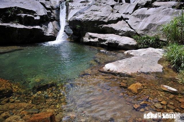 水质是泡出好茶的关键吗