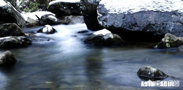 水质是泡出好茶的关键吗