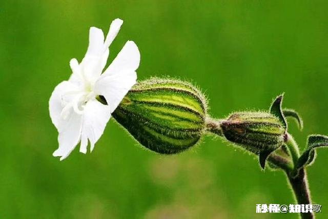 大家觉得夫妻双方,如果其中一方晚饭不回家吃该不该给对方打个招呼呢