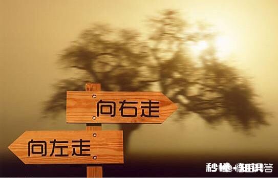 我现在22岁，感觉很迷茫，该何去何从