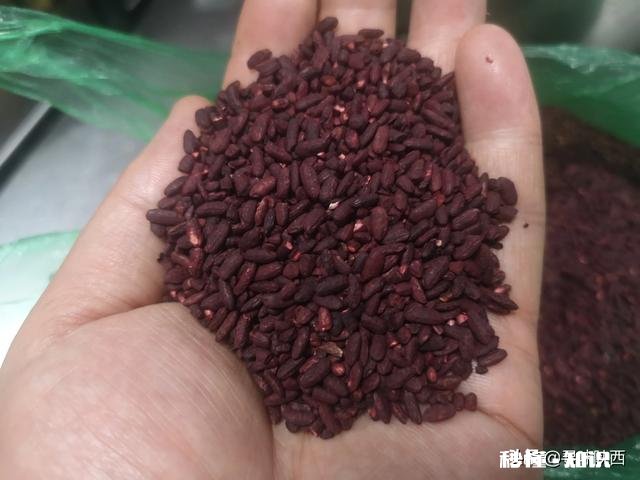 卤汤用红曲米还是红曲粉