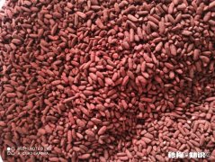 卤汤用红曲米还是红曲粉