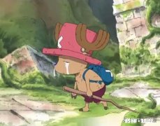 《海贼王》中，如果乔巴真正的实力被海军知道了，那么你认为海军会给乔巴多少赏金呢