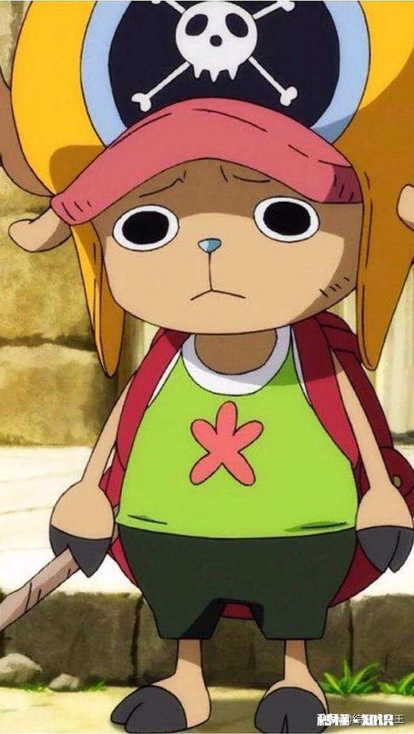 《海贼王》中，如果乔巴真正的实力被海军知道了，那么你认为海军会给乔巴多少赏金呢