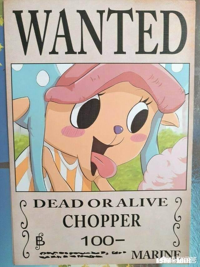 《海贼王》中，如果乔巴真正的实力被海军知道了，那么你认为海军会给乔巴多少赏金呢