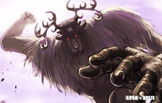 《海贼王》中，如果乔巴真正的实力被海军知道了，那么你认为海军会给乔巴多少赏金呢