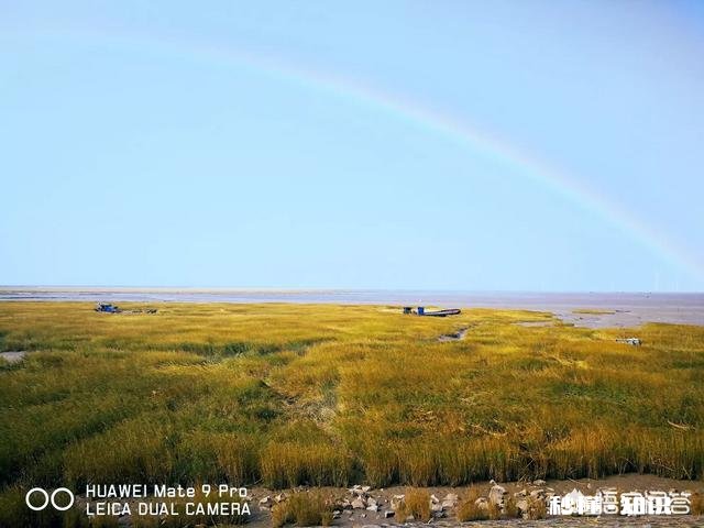 前三季度净利增长812%，苏宁易购是如何进行“逆势”高增长的