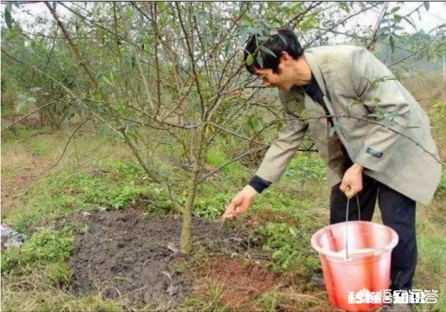 已经进入3月份如何做好花椒产品优质管理