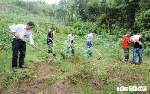 已经进入3月份如何做好花椒产品优质管理
