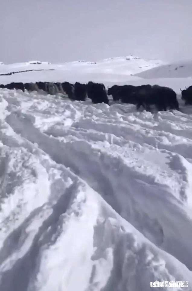 元旦你是怎么过的