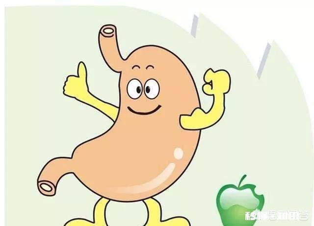 哪些饮食习惯会对胃造成伤害如何养好胃