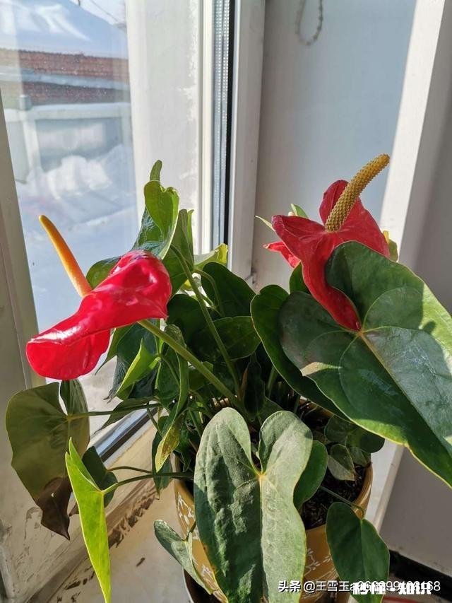 因主观臆断而做错事你会怎么样