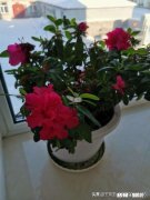 因主观臆断而做错事你会怎么样