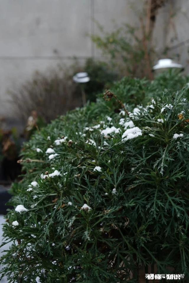 在家上网络课 下周一我们开学，对高三学生应该有什么要求或者期待