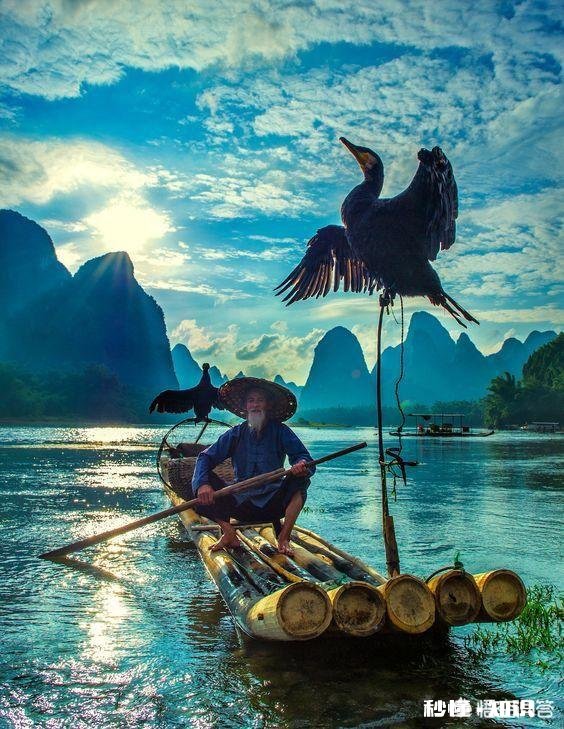 怎么评论“世界那么大，我想去看看”这句话