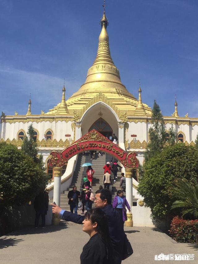 怎么评论“世界那么大，我想去看看”这句话