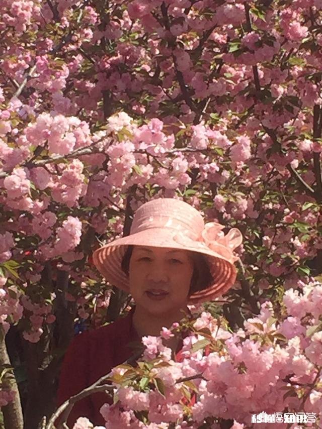 怎么评论“世界那么大，我想去看看”这句话