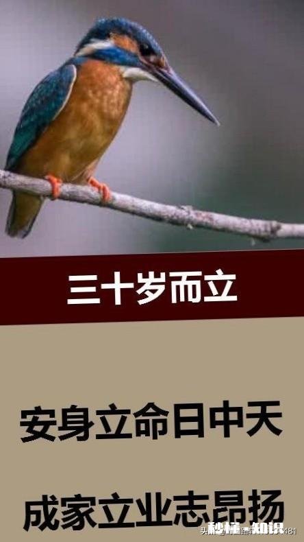 不知不觉，三十岁了，会有怎样的感觉