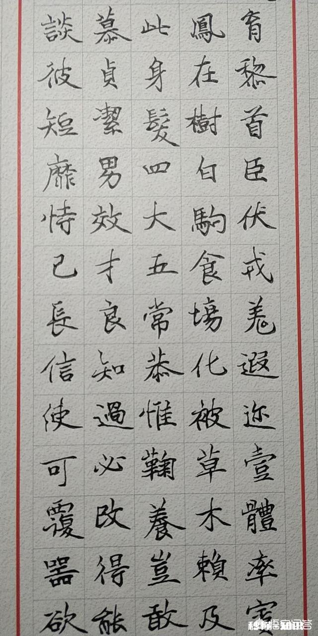 硬笔初学者应如何练字